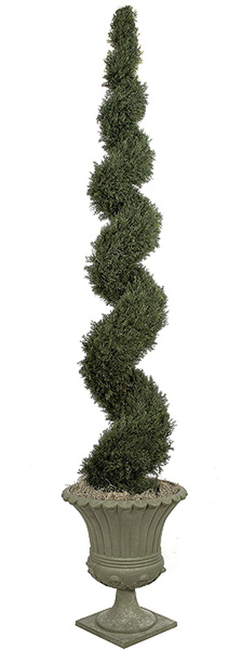 10 Foot Spiral Cypress Topiary